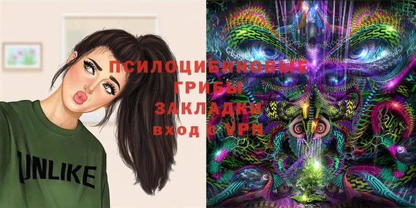 спайс Нея