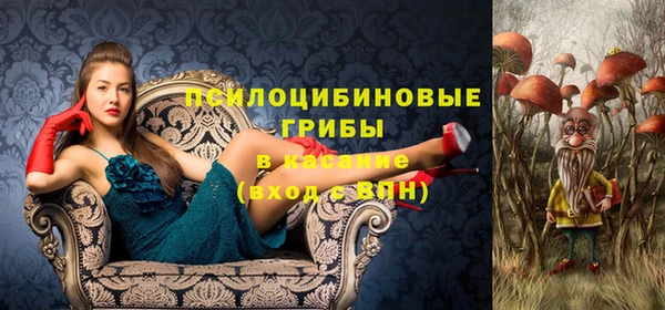 ECSTASY Абаза