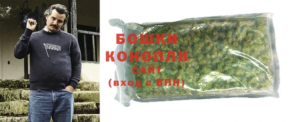 спайс Нея
