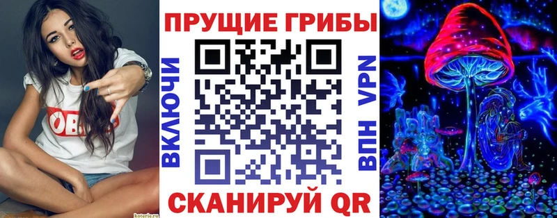 как найти закладки Новая Усмань Галлюциногенные грибы Magic Shrooms